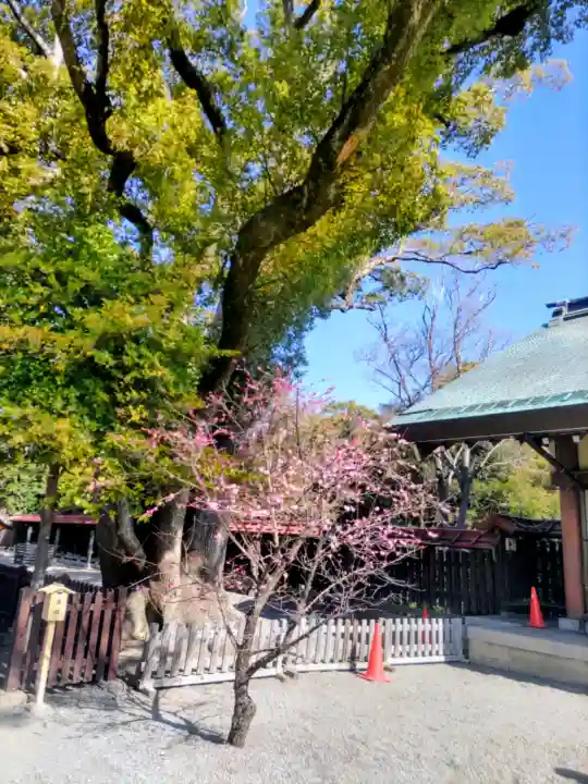 和泉國一之宮 大鳥大社の{uncategorized: "未分類", other: "その他", undefined: "問題あり", building: "その他建物", grave: "お墓", sacred_gate: "鳥居", guardian: "狛犬", statue: "像", buddha: "仏像", history: "歴史", nature: "自然", garden: "庭園", animal: "動物", pagoda: "塔", temizu: "手水舎", mountain_gate: "山門・神門", sanctuary: "本殿・本堂", subordinate: "末社・摂社", art: "芸術", scenery: "景色", jizo: "地蔵", ema: "絵馬", goshuin: "御朱印", omikuji: "おみくじ", items: "授与品その他", amulet: "お守り", goshuincho: "御朱印帳", eats: "食事", festival: "お祭り", votive_dance: "神楽", shichigosan: "七五三参", wedding: "結婚式", experience: "体験その他", initially: "初詣", around: "周辺", anti_infection: "感染症対策"}
