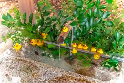 諏訪八幡神社の手水舎