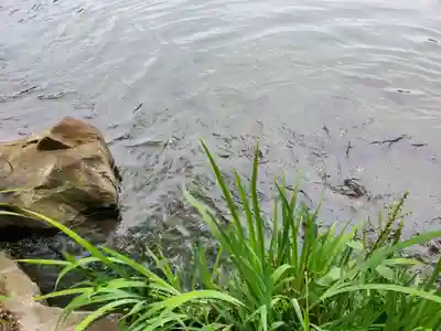 乃木神社(栃木県)