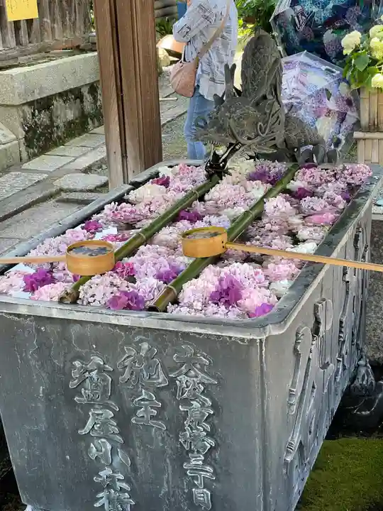 柳谷観音 楊谷寺の御朱印