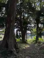 神明神社(千葉県)