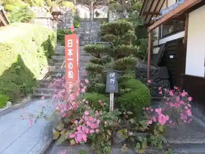 善峯寺のその他建物