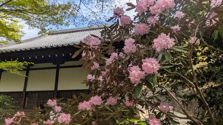 圓光寺(京都府)