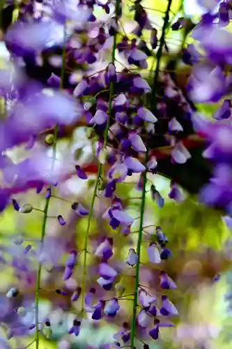 惣社神社(滋賀県)