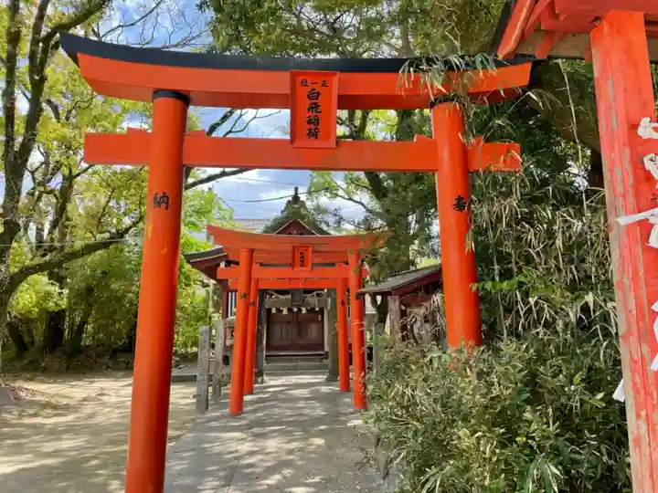 唐津神社の鳥居