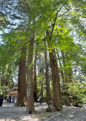 高千穂神社(宮崎県)