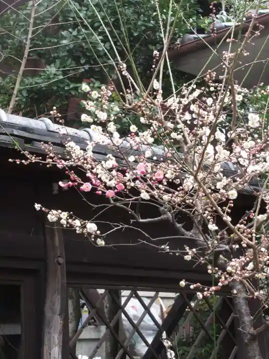 菅原院天満宮神社の自然