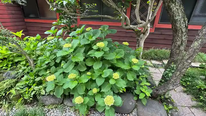 仙台大神宮の自然