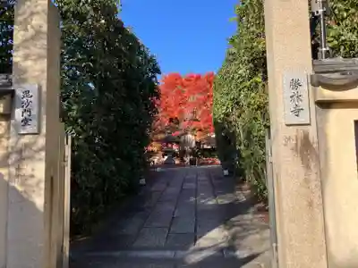 勝林寺(京都府)