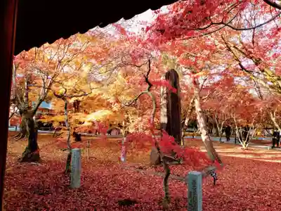 東福禅寺(東福寺)(京都府)