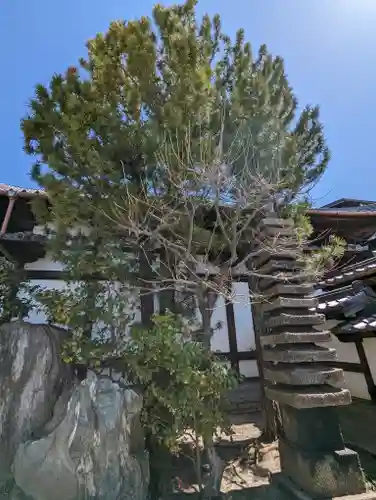 光明院（光明禅院）(京都府)