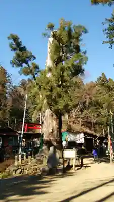 天龍寺(埼玉県)