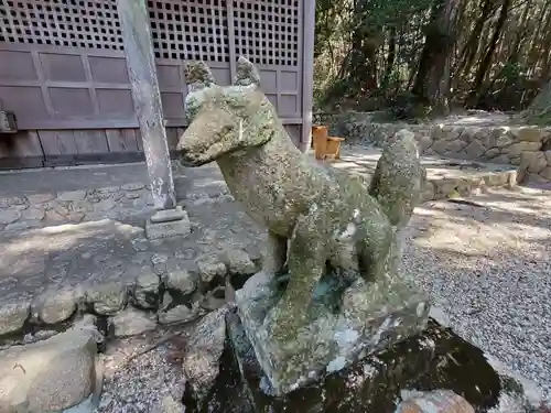 平田稲荷神社の狛犬