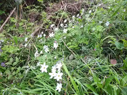 愛宕神社の自然