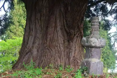 御札神社の歴史