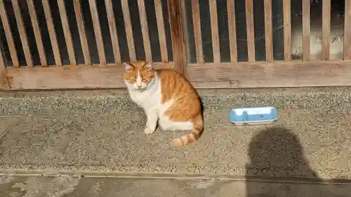 乗願寺(京都府)