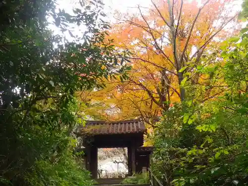 瑞泉寺の山門