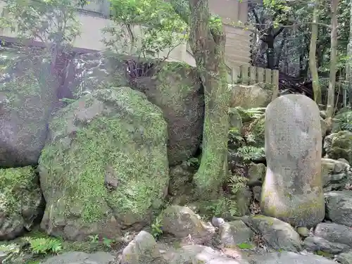 多度大社の自然