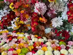 金蛇水神社(宮城県)