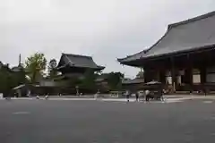 知恩院の本殿