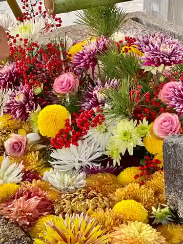 八坂神社(祇園さん)(京都府)