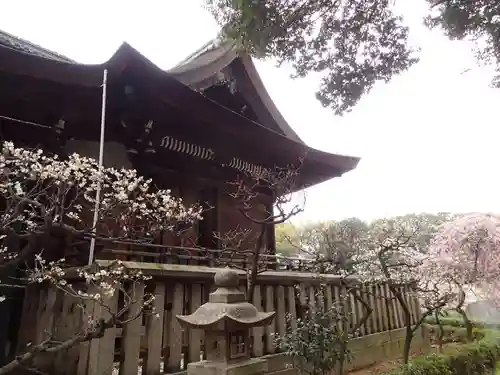 道明寺天満宮の本殿