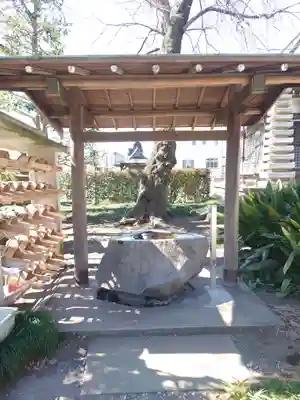 天応院(神奈川県)