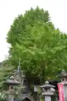 広福寺(山口県)