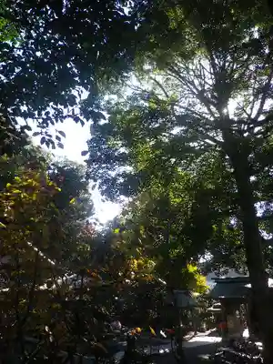 荏柄天神社のその他建物