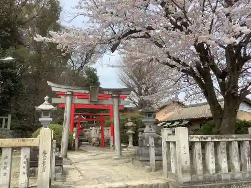 堤治神社の鳥居