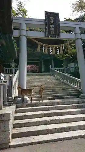 金華山黄金山神社の鳥居