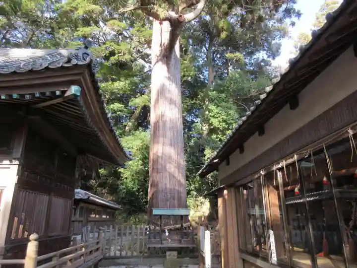 事任八幡宮の自然
