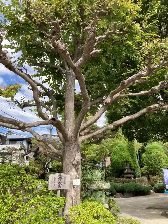 密蔵寺(神奈川県)