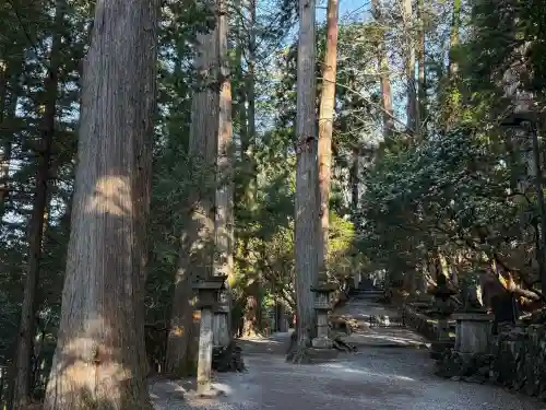 三峯神社の{uncategorized: "未分類", other: "その他", undefined: "問題あり", building: "その他建物", grave: "お墓", sacred_gate: "鳥居", guardian: "狛犬", statue: "像", buddha: "仏像", history: "歴史", nature: "自然", garden: "庭園", animal: "動物", pagoda: "塔", temizu: "手水舎", mountain_gate: "山門・神門", sanctuary: "本殿・本堂", subordinate: "末社・摂社", art: "芸術", scenery: "景色", jizo: "地蔵", ema: "絵馬", goshuin: "御朱印", omikuji: "おみくじ", items: "授与品その他", amulet: "お守り", goshuincho: "御朱印帳", eats: "食事", festival: "お祭り", votive_dance: "神楽", shichigosan: "七五三参", wedding: "結婚式", experience: "体験その他", initially: "初詣", around: "周辺", anti_infection: "感染症対策"}