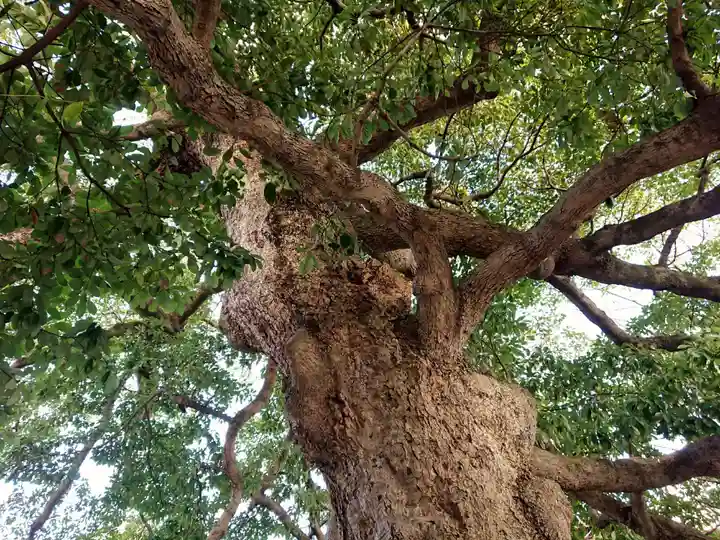 神明神社(神奈川県)