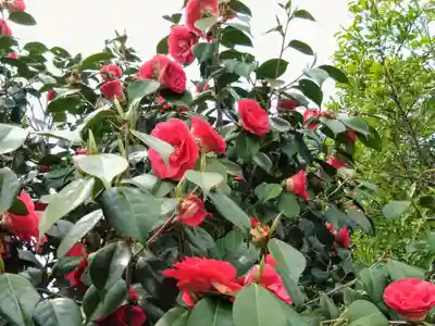 椿宮神明社(愛知県)