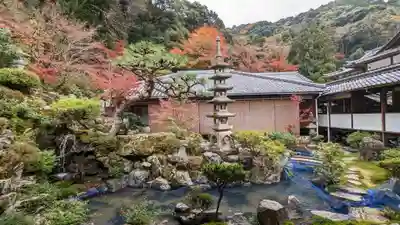 興聖寺（興聖寶林禅寺）の塔