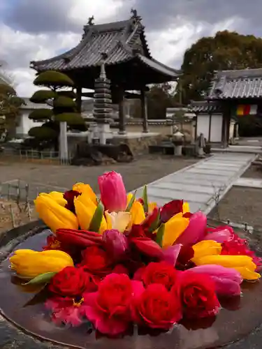 真言宗　善通寺派　薬王寺(香川県)