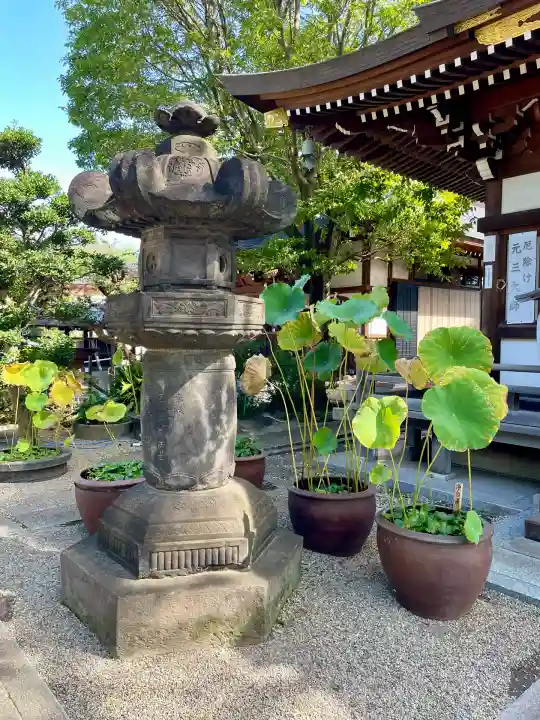 大円寺(東京都)