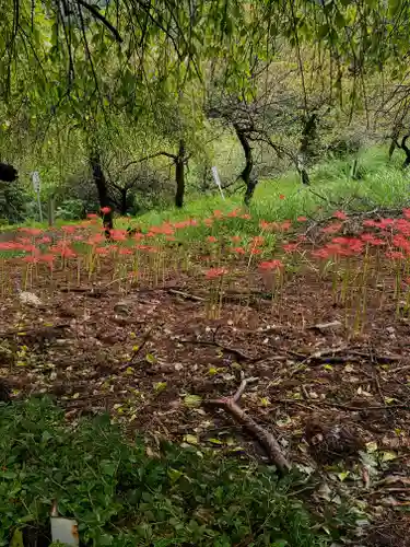 不動寺(埼玉県)