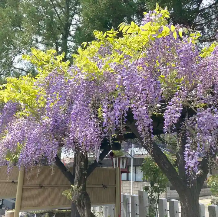 總社 和田八幡宮の自然