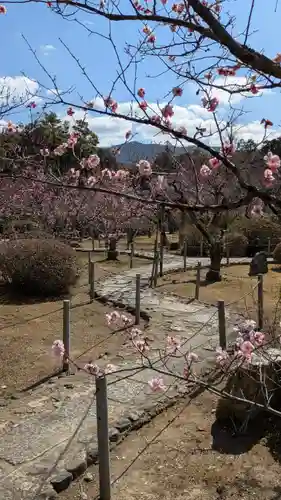 隨心院（随心院）(京都府)