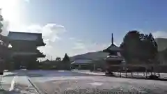 清凉寺の景色
