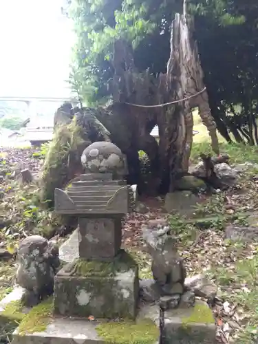 伊射奈伎神社(福井県)