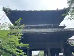 大樹寺（松安院大樹寺）(愛知県)