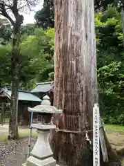 宇波西神社(福井県)