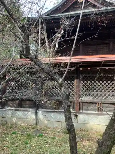 甲斐國一宮 浅間神社(山梨県)