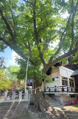豊平神社(北海道)
