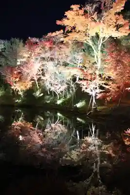 高台寺（高台寿聖禅寺・高臺寺）(京都府)