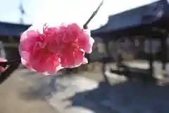 菅原天満宮（菅原神社）の自然